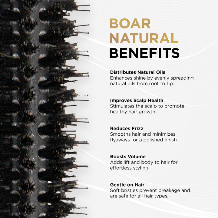 COCCO® Black Series Ceramic Boar Brush (Select Size)