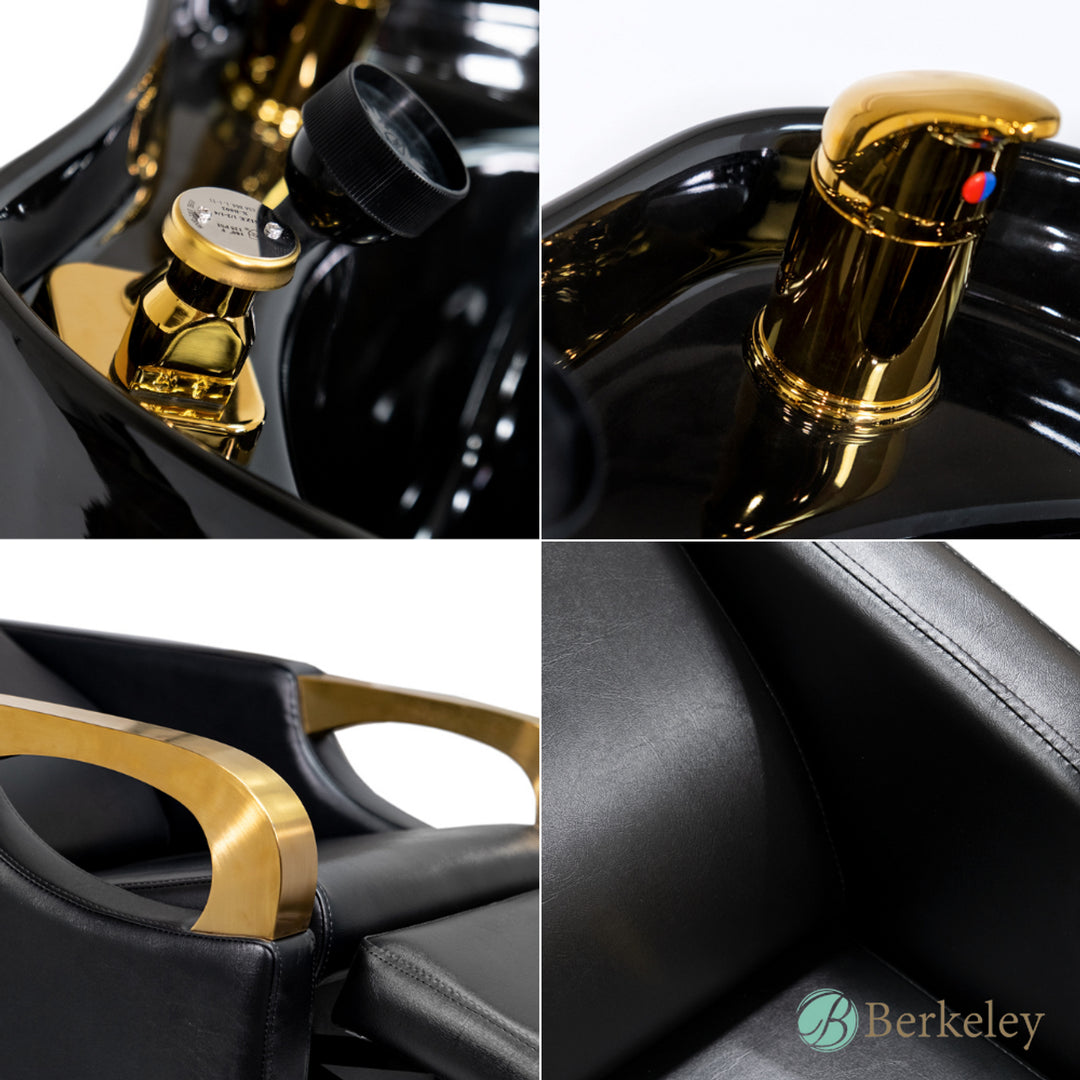 AURUM LUXE Backwash Unit