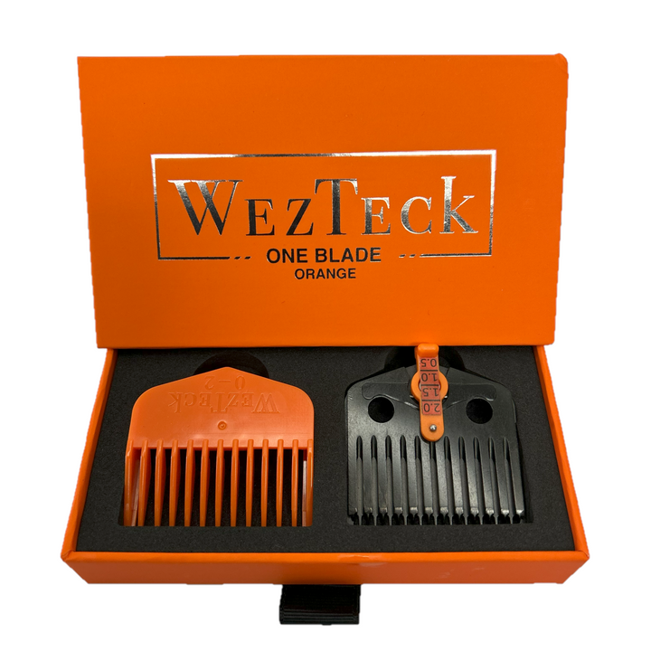 WezTeck One Blade