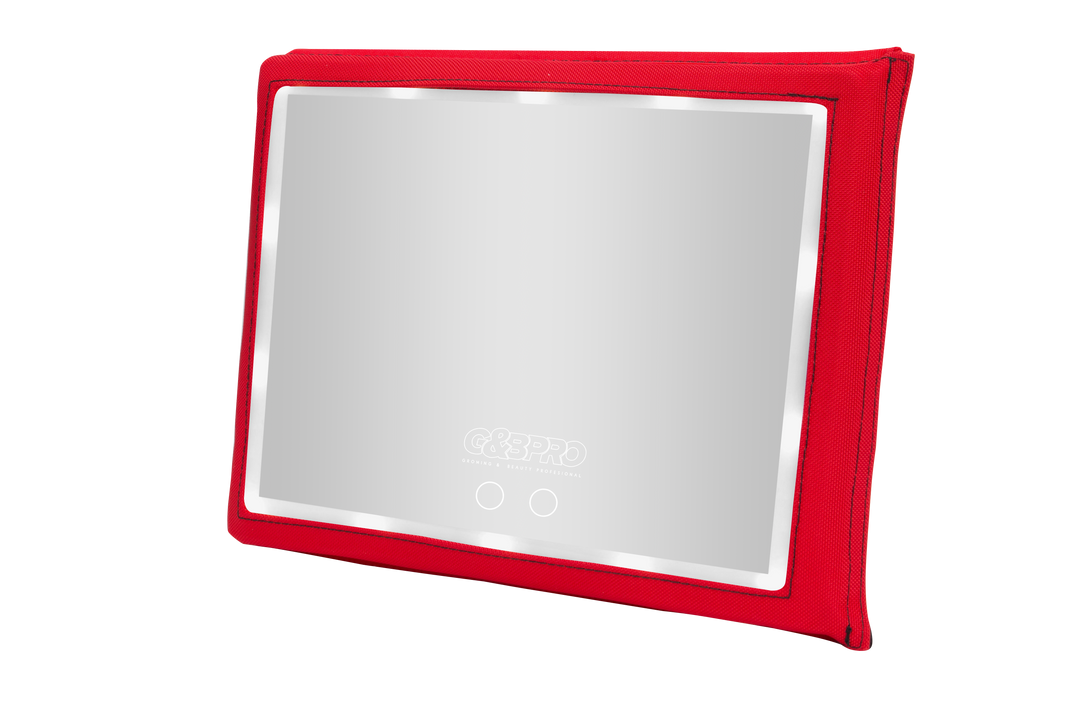 PRO Ultra Bright LED Mirror