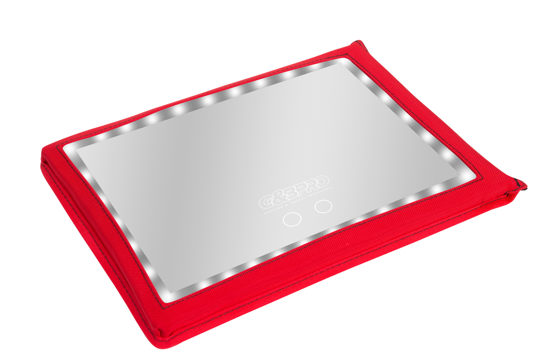 PRO Ultra Bright LED Mirror