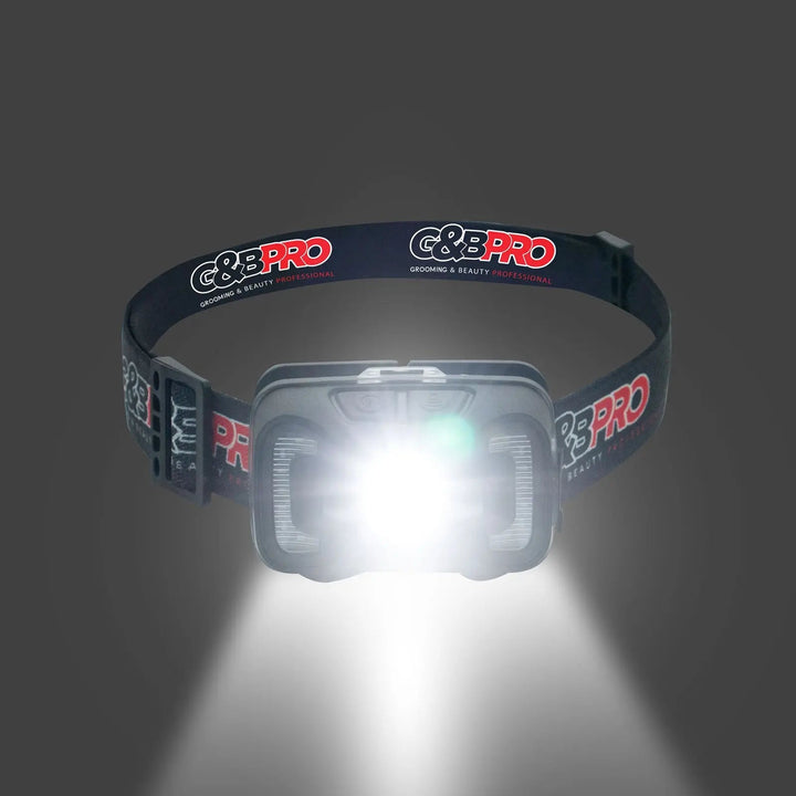 PRO LED Head Lamp