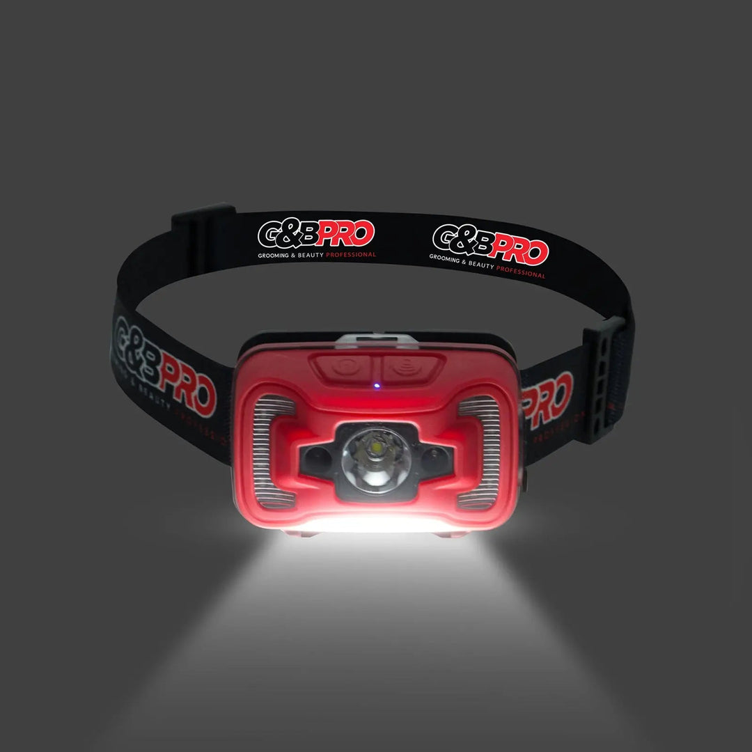 PRO LED Head Lamp