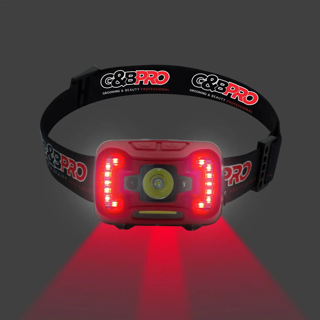 PRO LED Head Lamp